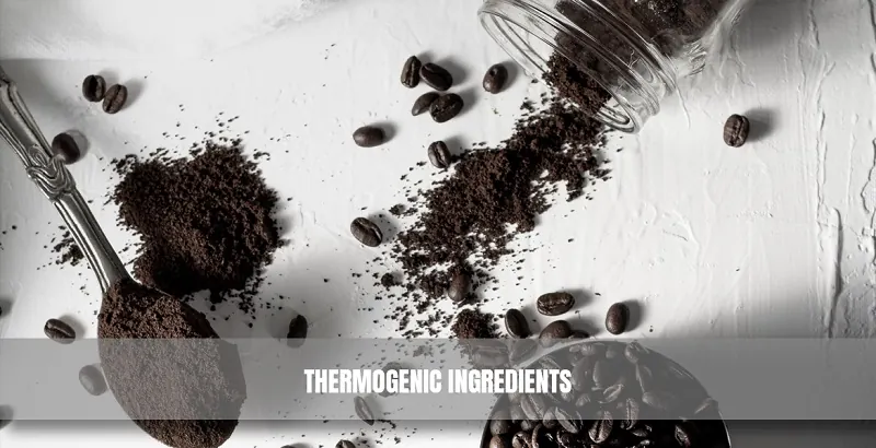 Thermogenic Ingredients